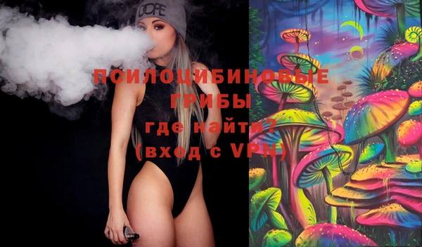 дмт Арсеньев
