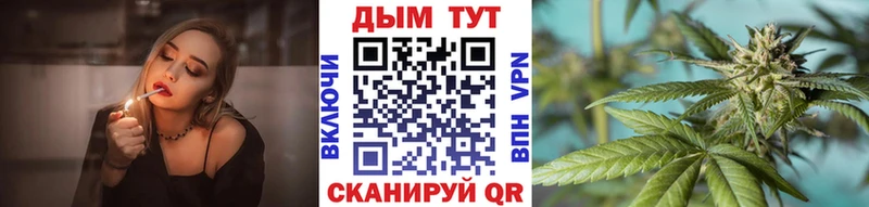 Бошки Шишки семена Михайловск